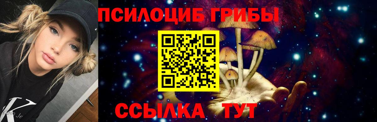 Псилоцибиновые грибы GOLDEN TEACHER  Вход с VPN  Муром 